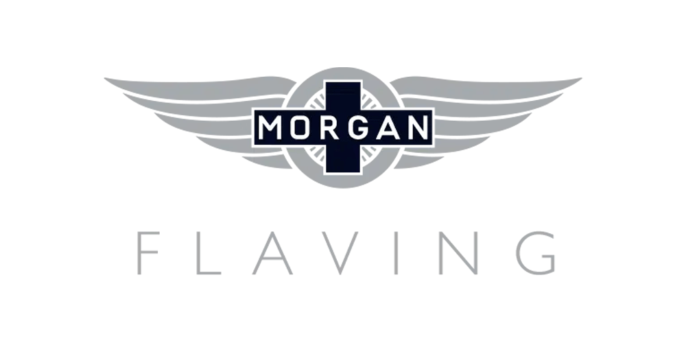 flaving_logo